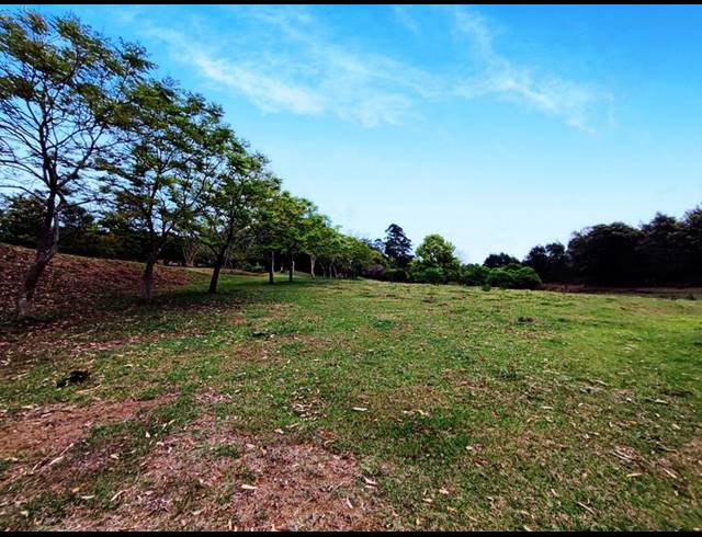 FARM FOR SALE IN PIETERMARITZBURG RURAL
